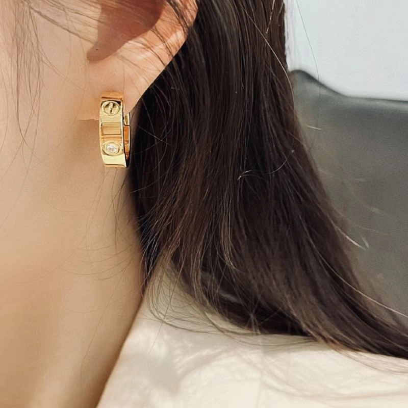 Trendsetting LX Earrings 311640