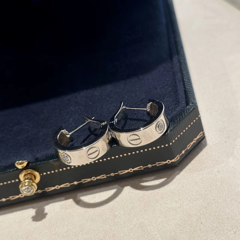 Trendsetting LX Earrings 311640