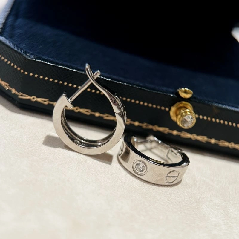 Trendsetting LX Earrings 311640