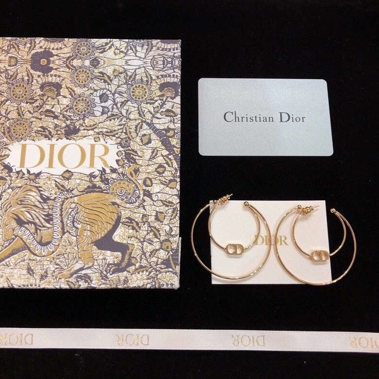 Christian Dxxr Earrings Vibrant 295296