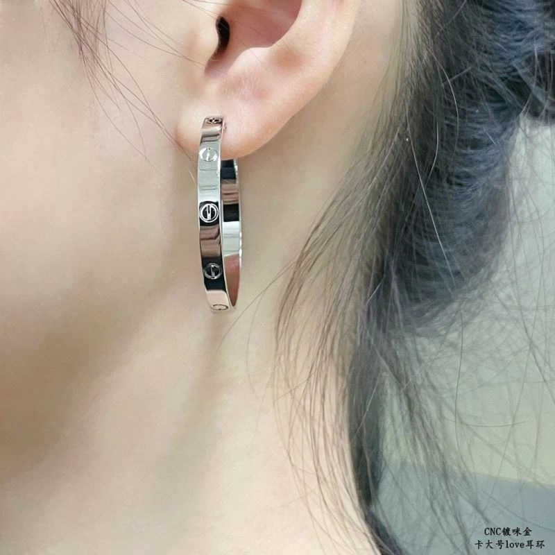 LX Earrings Sophisticated 311631
