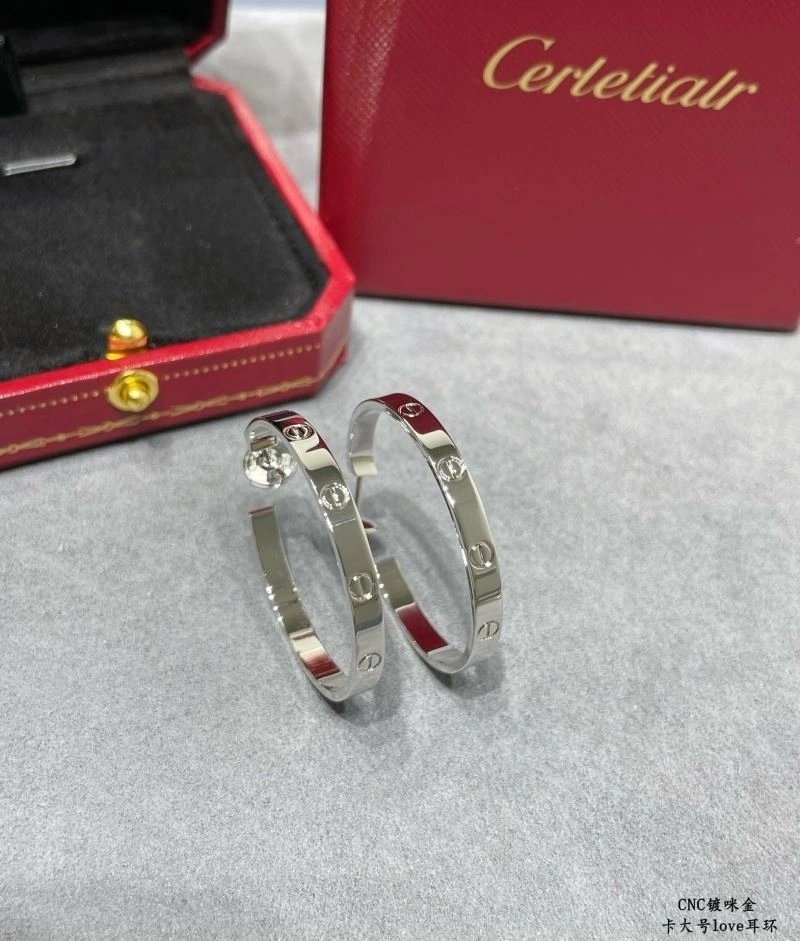 LX Earrings Sophisticated 311631