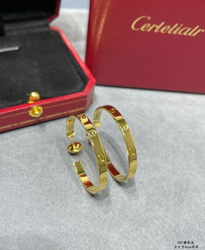 LX Earrings Sophisticated 311631