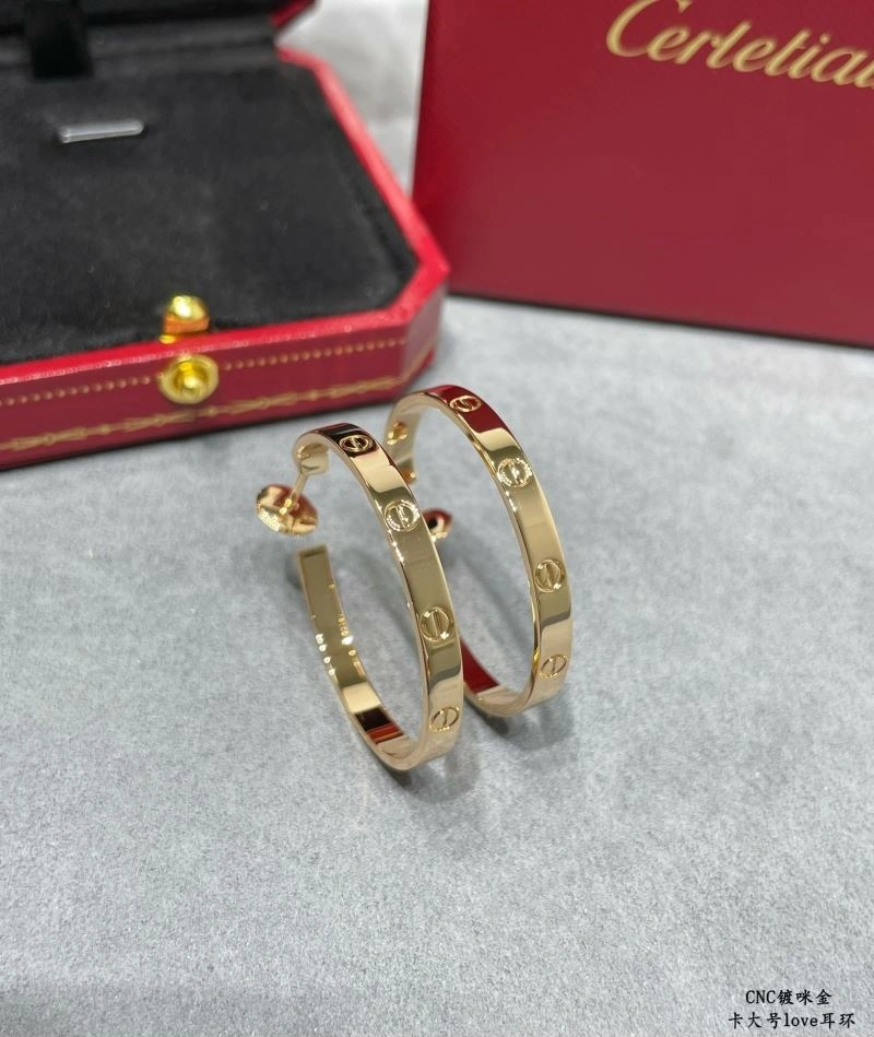 LX Earrings Sophisticated 311631