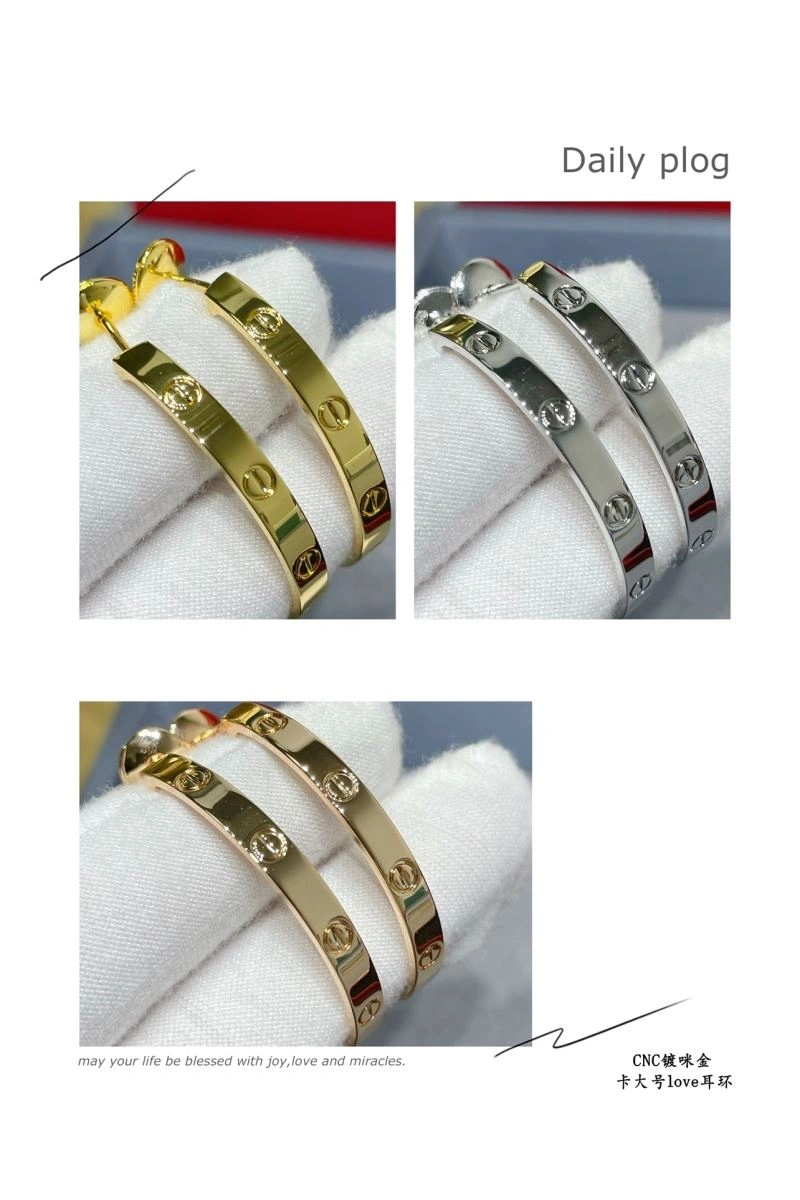 LX Earrings Sophisticated 311631