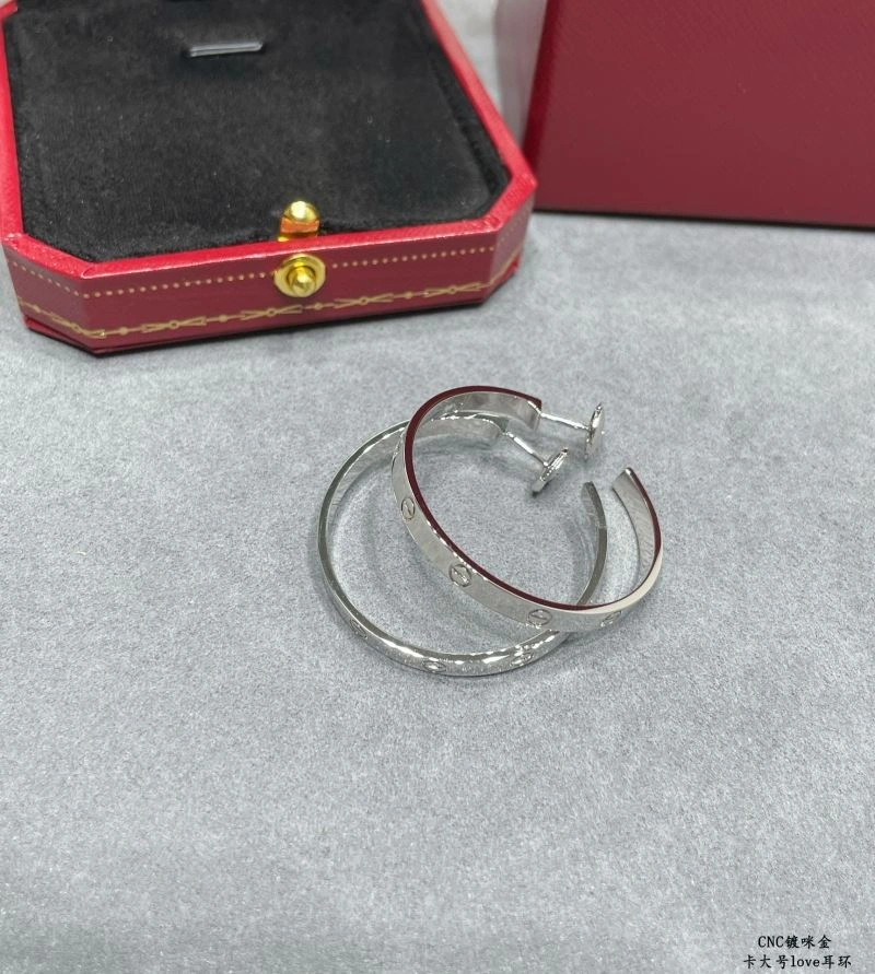 LX Earrings Sophisticated 311631