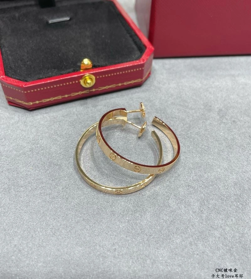 LX Earrings Sophisticated 311631