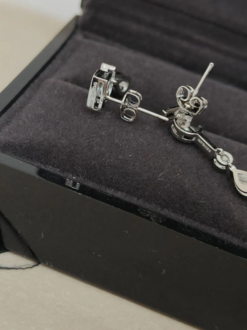 Chxnxl Earrings Resilient 291095