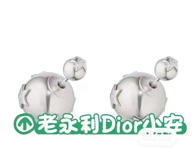 Christian Dxxr Earrings Classic 295236