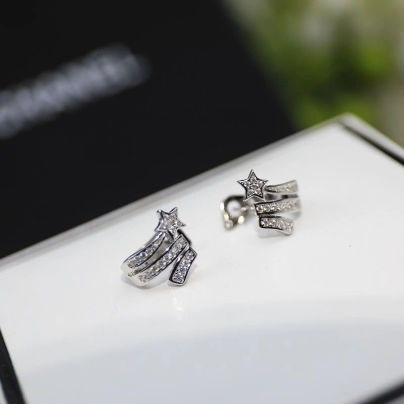 Practical Chxnxl Earrings 290948
