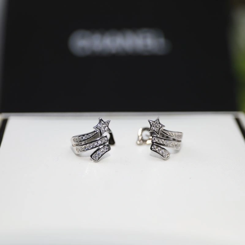 Practical Chxnxl Earrings 290948