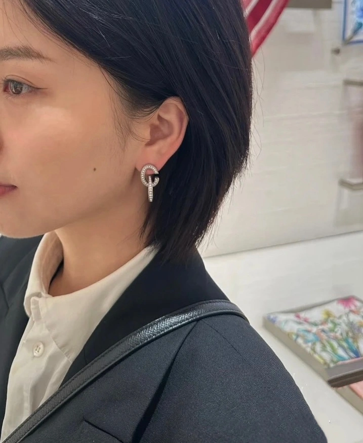 Christian Dxxr Earrings Fashionable 295176