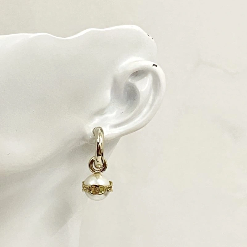 Elegant Chxnxl Earrings 290825