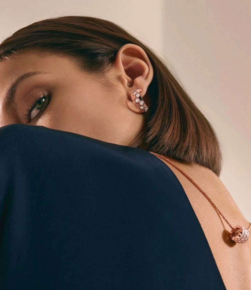 Vibrant LX Earrings 311602