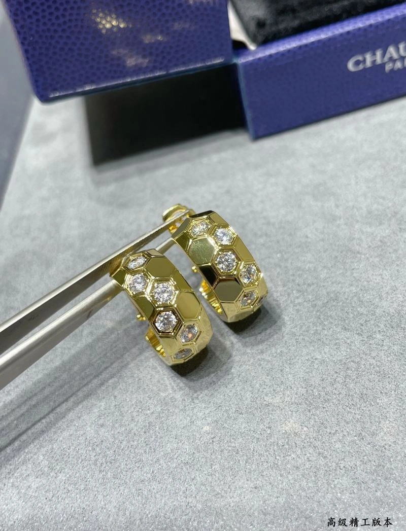 Vibrant LX Earrings 311602