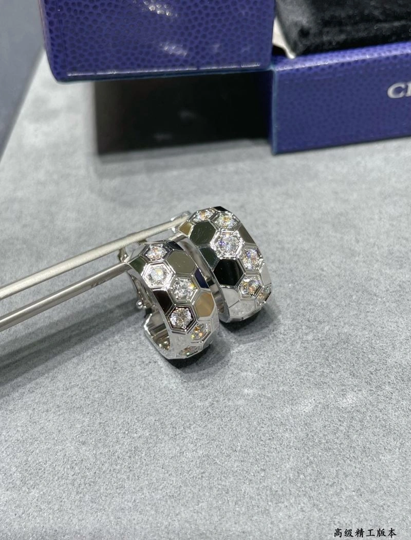 Vibrant LX Earrings 311602