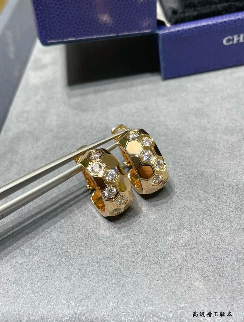 Vibrant LX Earrings 311602
