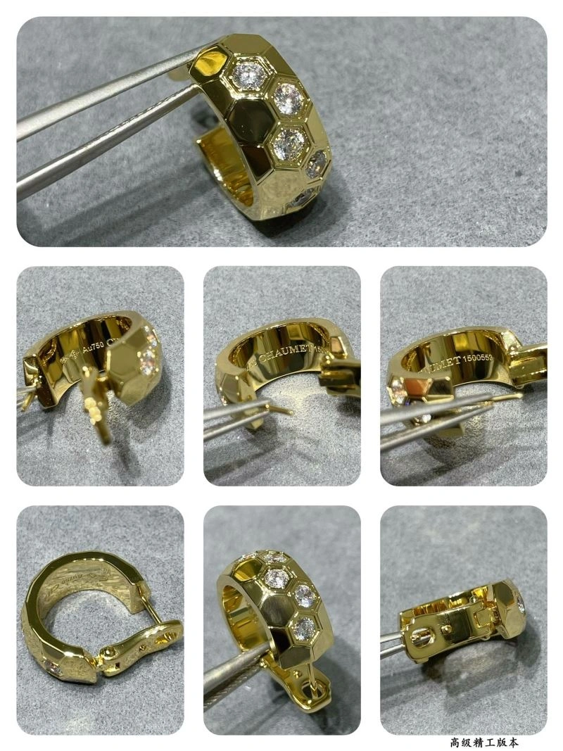 Vibrant LX Earrings 311602