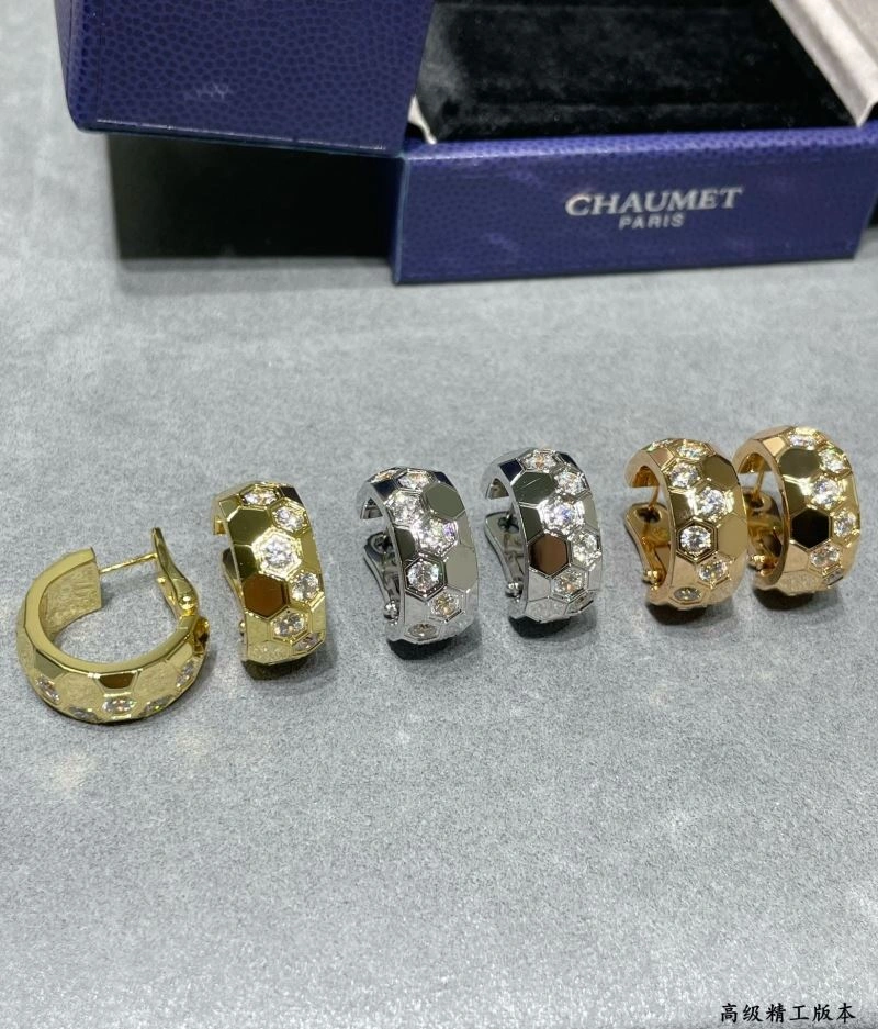 Vibrant LX Earrings 311602