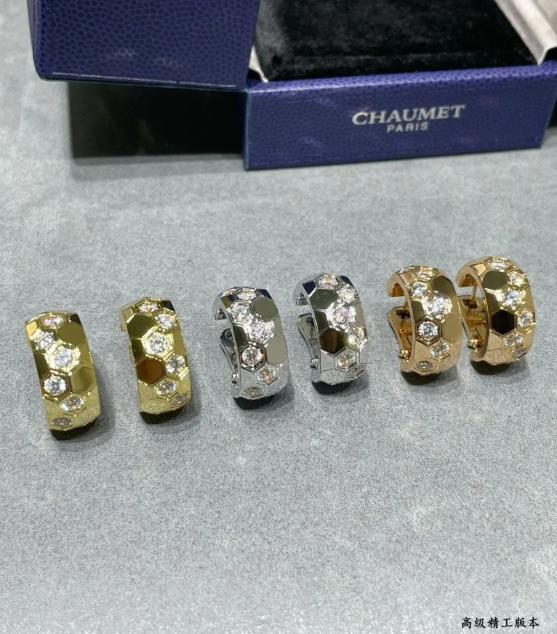 Vibrant LX Earrings 311602