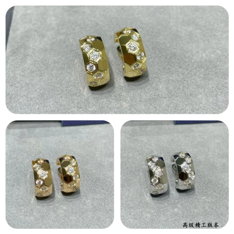 Vibrant LX Earrings 311602