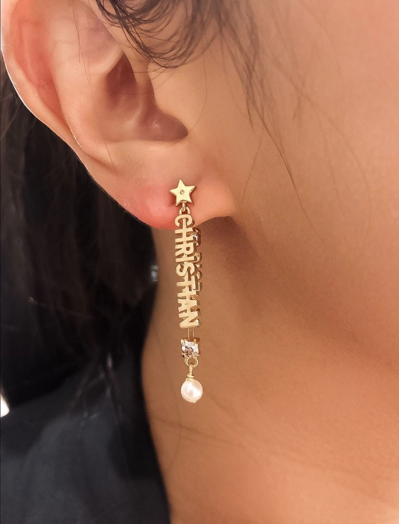 LX Earrings BestValue 311110