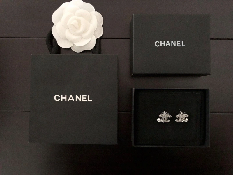 Chxnxl Earrings Practical 289171