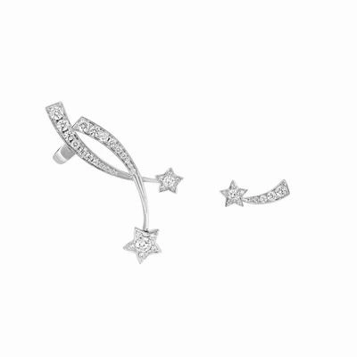 AllSeason Chxnxl Earrings 289136