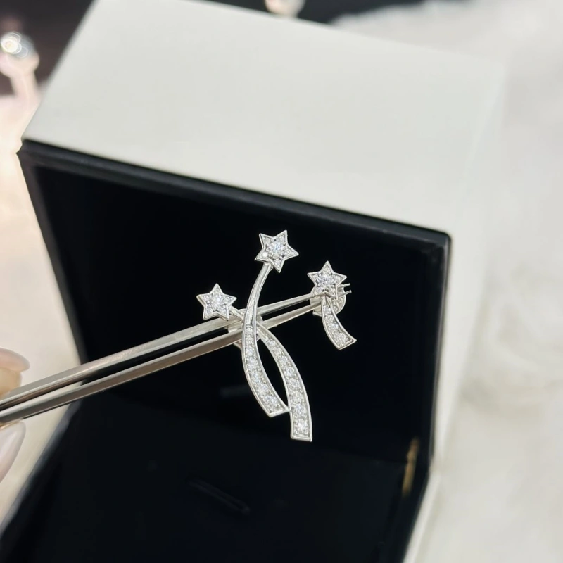 AllSeason Chxnxl Earrings 289136
