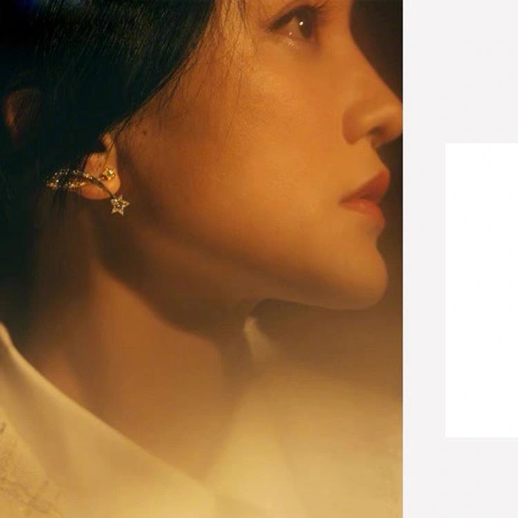 AllSeason Chxnxl Earrings 289136