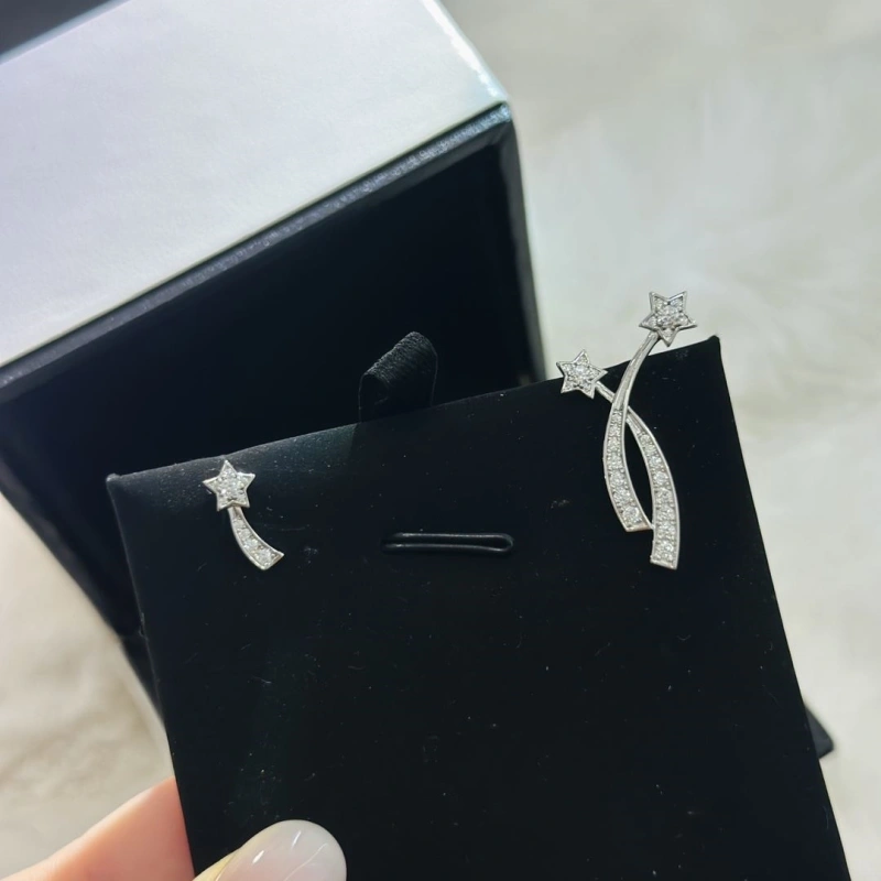 AllSeason Chxnxl Earrings 289136