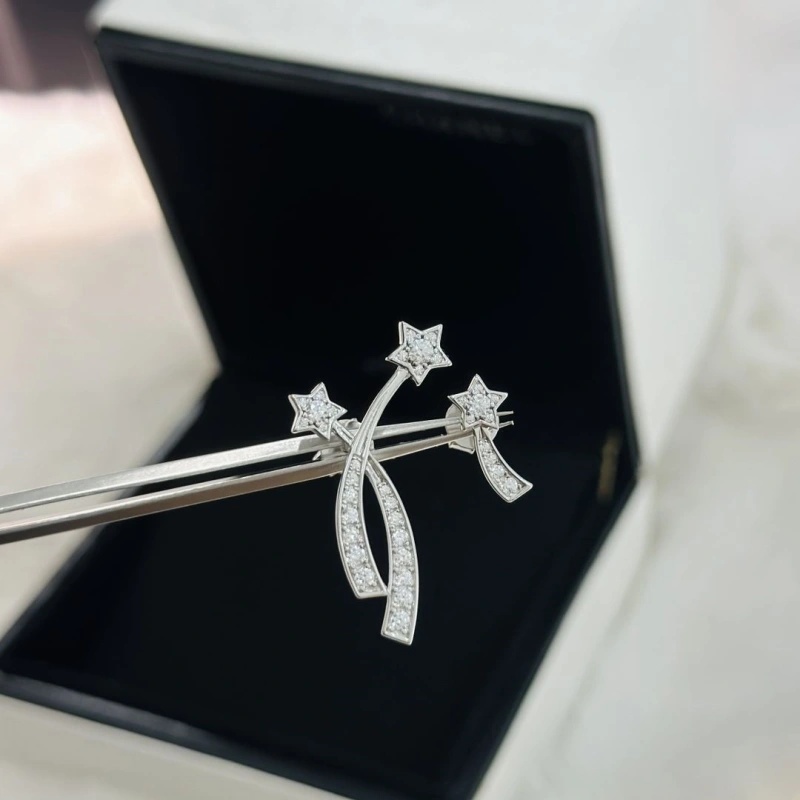 AllSeason Chxnxl Earrings 289136