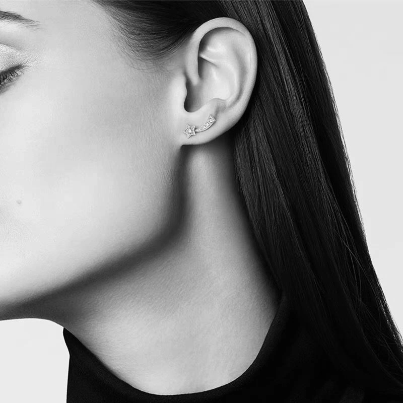 AllSeason Chxnxl Earrings 289136
