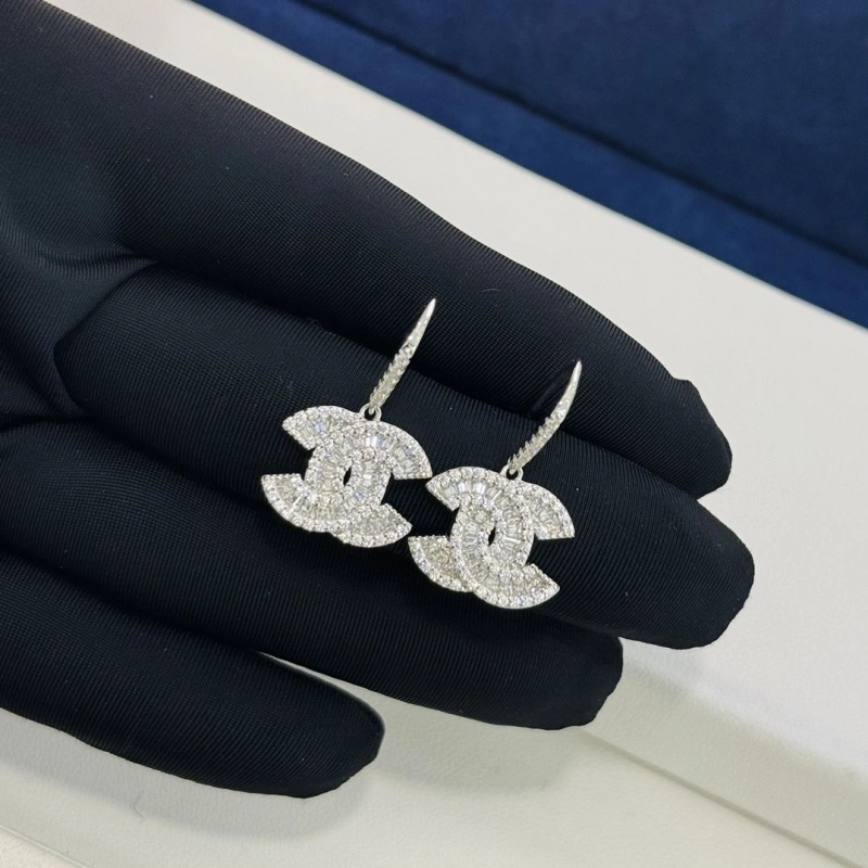 Chxnxl Earrings WellDesigned 289129