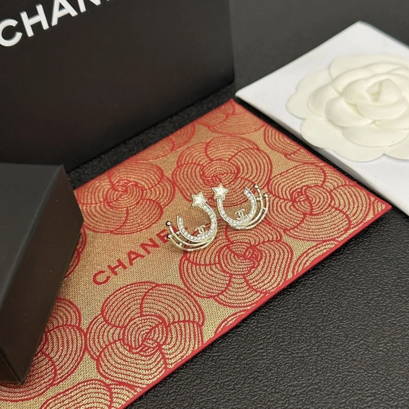Chxnxl Earrings Stylish 289128