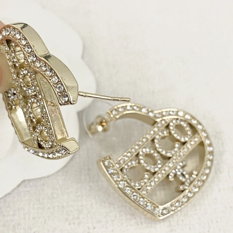 Chxnxl Earrings DailyWear 289126