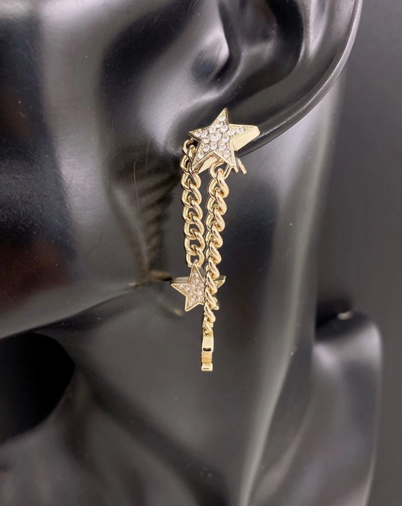 SmartChoice Chxnxl Earrings 289125