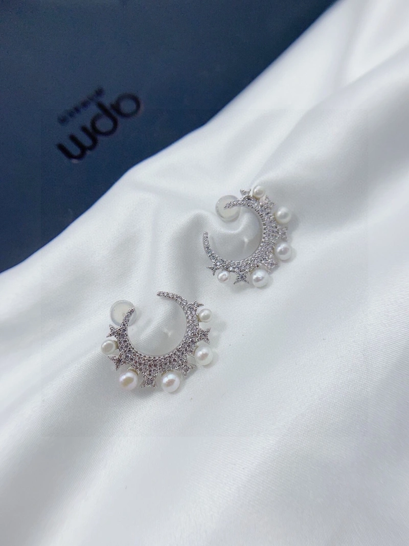DailyWear Axm Earrings 281746
