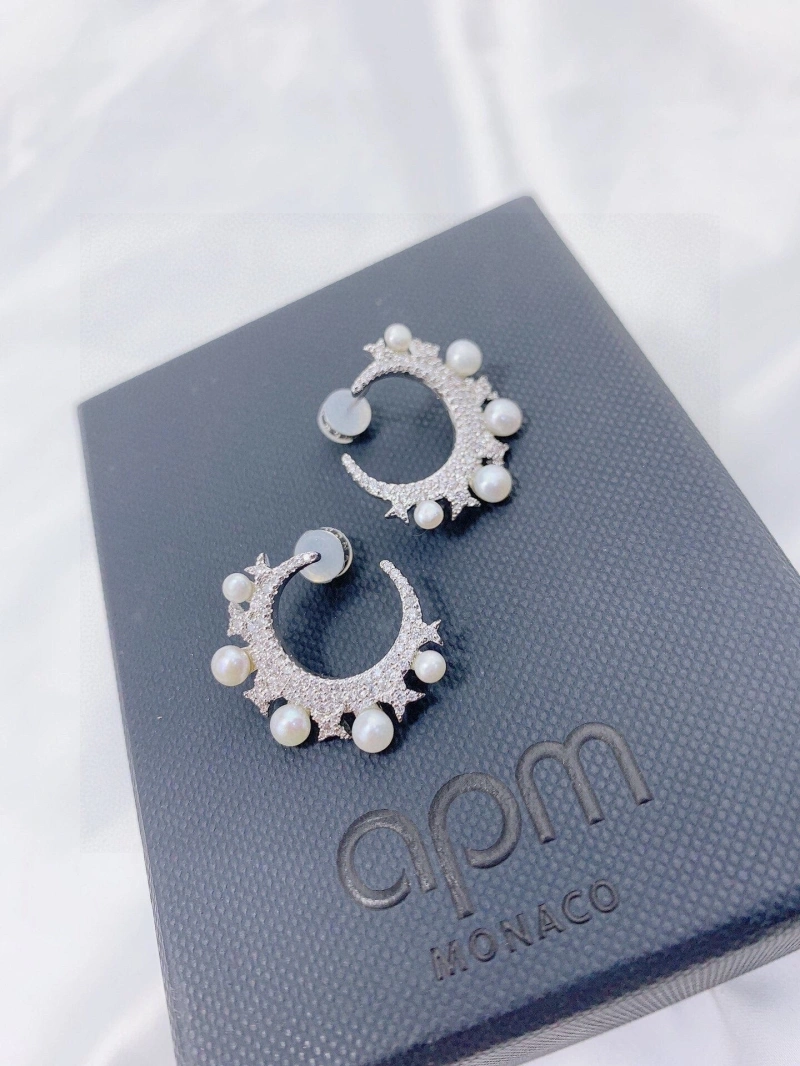 DailyWear Axm Earrings 281746