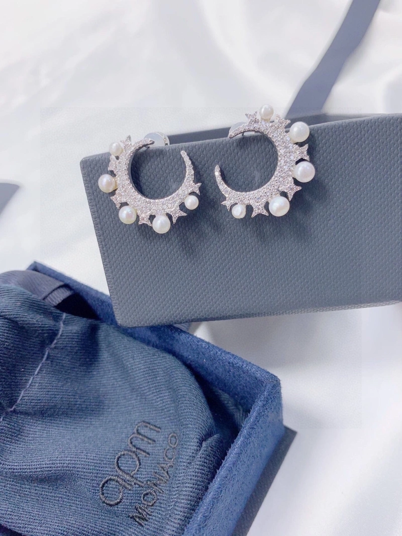 DailyWear Axm Earrings 281746