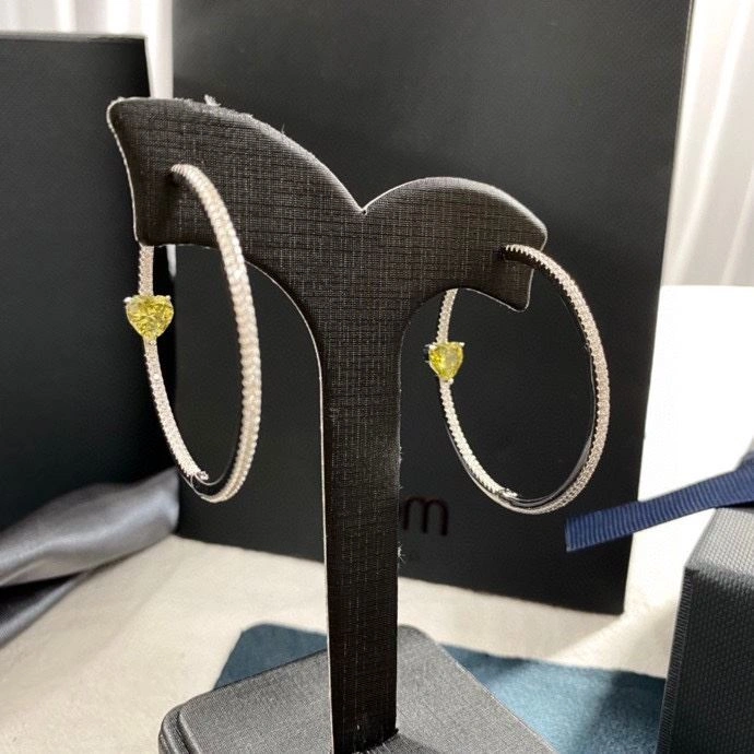 Axm Earrings Functional 281743