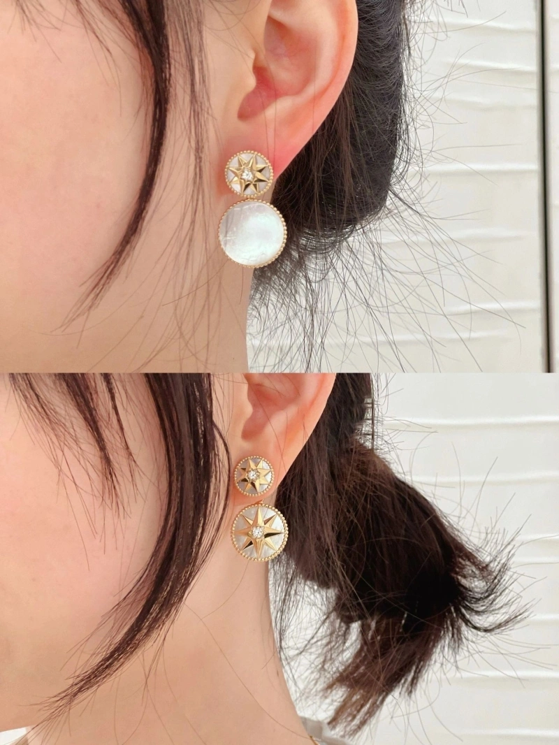 Christian Dxxr Earrings Elegant 294968