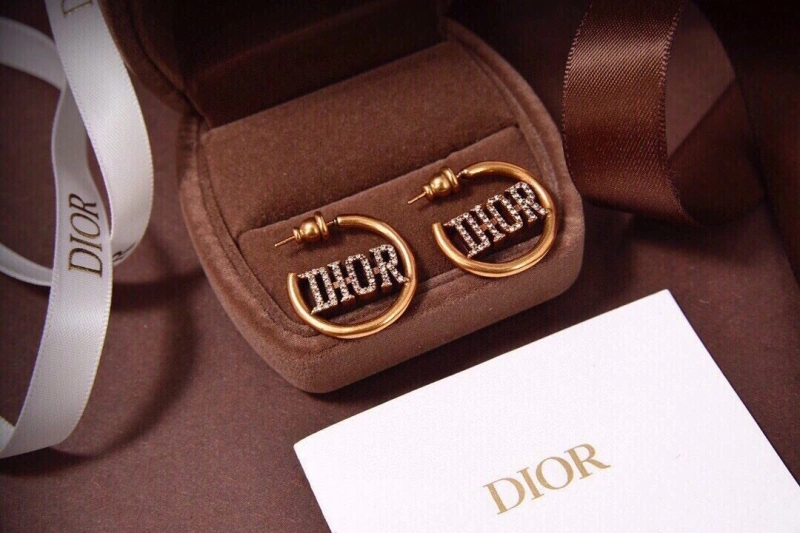 Christian Dxxr Earrings Elegant 294953