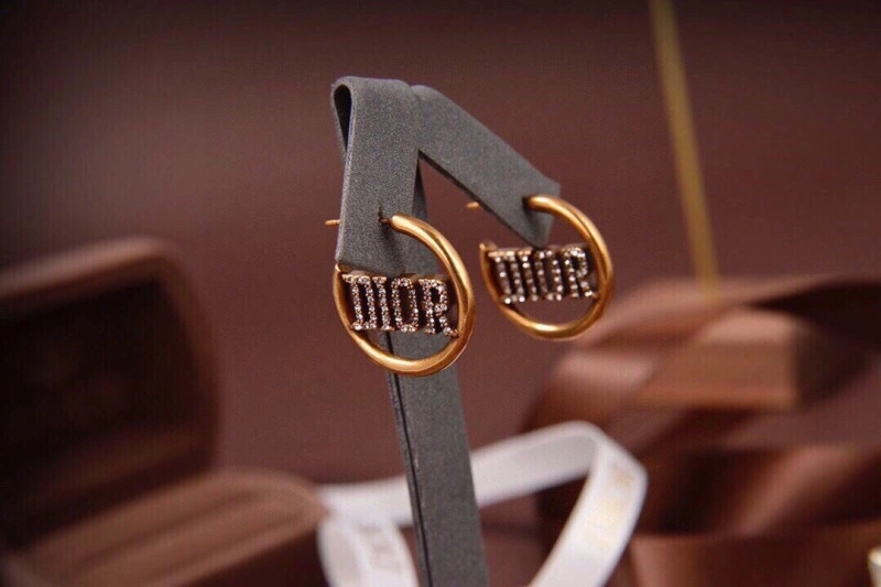 Christian Dxxr Earrings Elegant 294953
