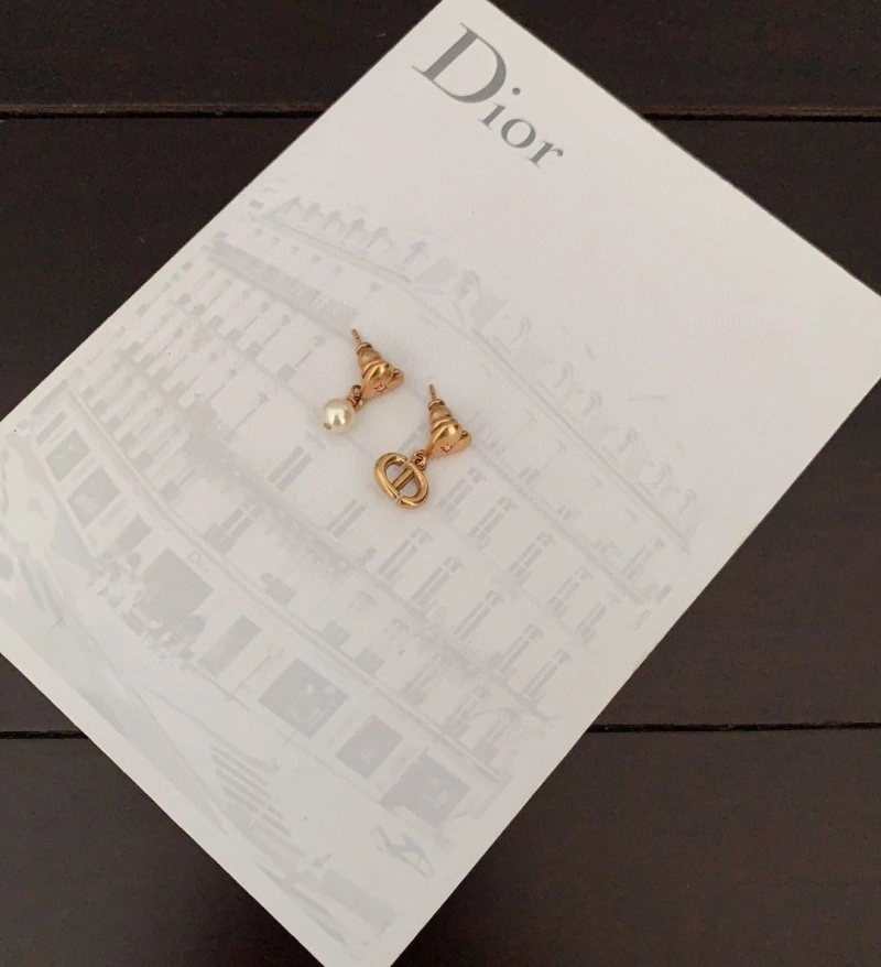 Christian Dxxr Earrings Sleek 294949