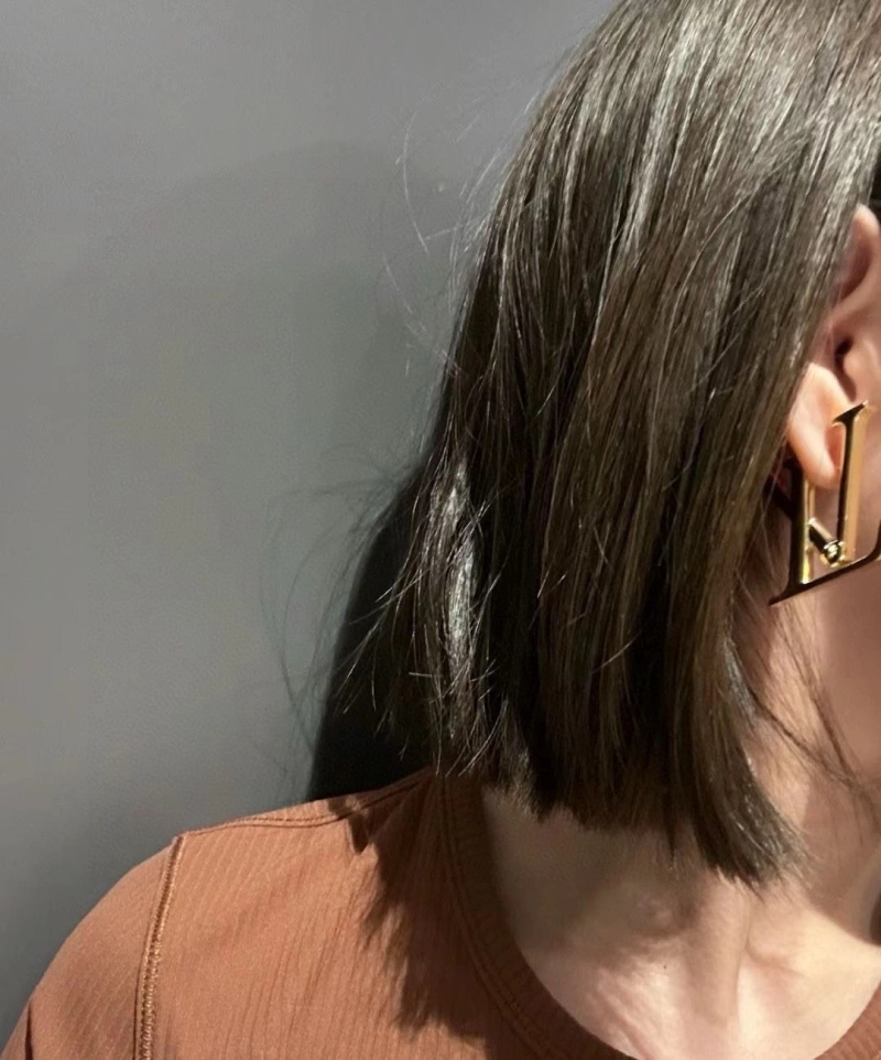 Versatile LX Earrings 311046