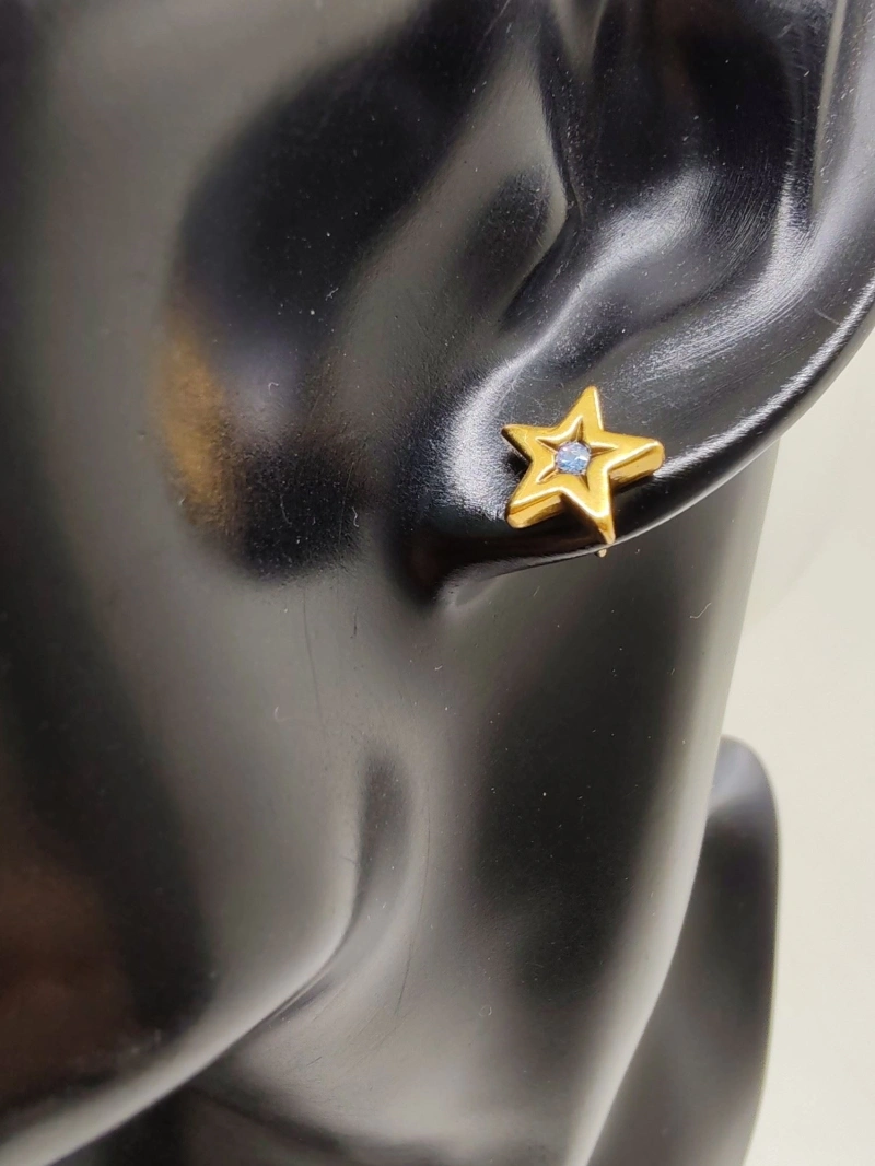 Christian Dxxr Earrings SmartChoice 294944