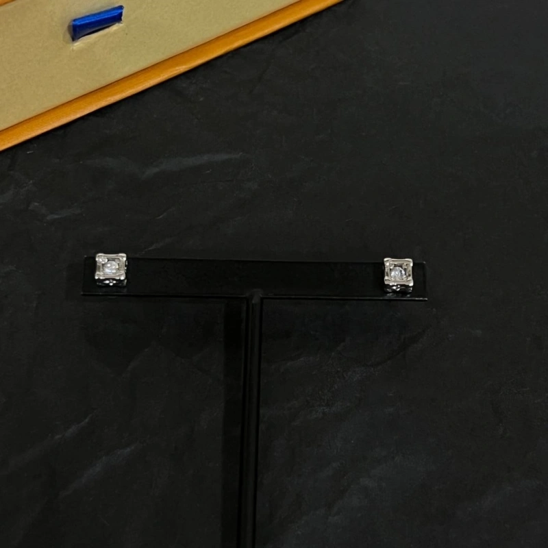 LX Earrings Practical 311058