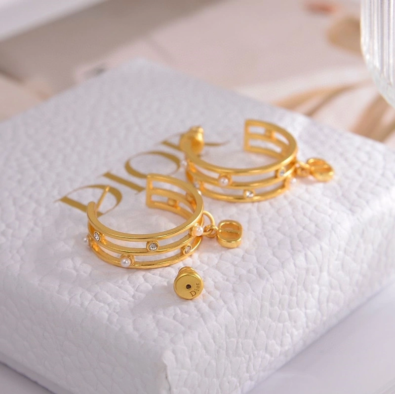 Christian Dxxr Earrings Fashionable 294939