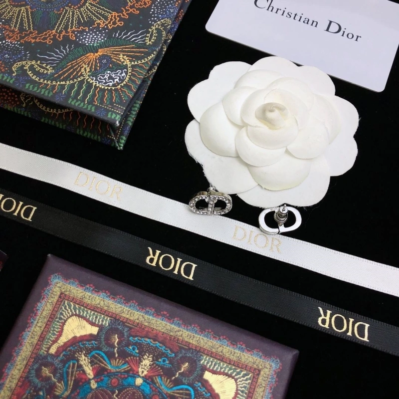 Comfortable Christian Dxxr Earrings 294927